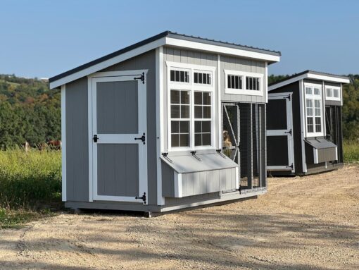 6'x12' Studio Chicken Coop Combo