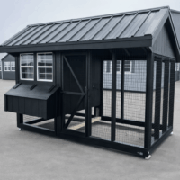 6'x10' Quaker Chicken Coop Combo