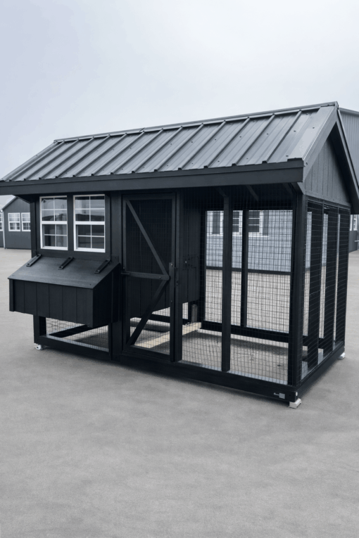 6'x10' Quaker Chicken Coop Combo