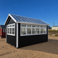 Black Cabin with Translucent Roof and Windows 10'x16' Deluxe Greenhouse